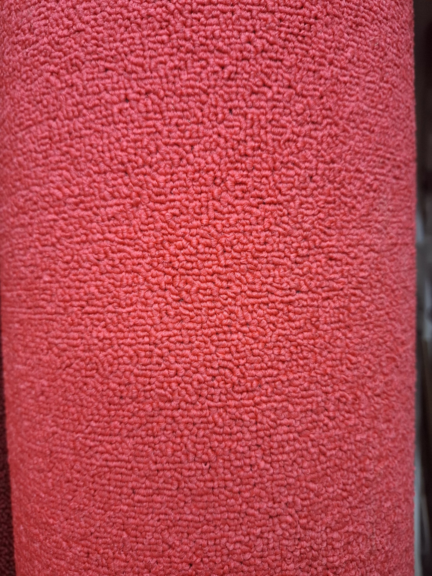 Vibrant Loop Pile Wall-to-Wall Carpet - Durable & Stain-Resistant