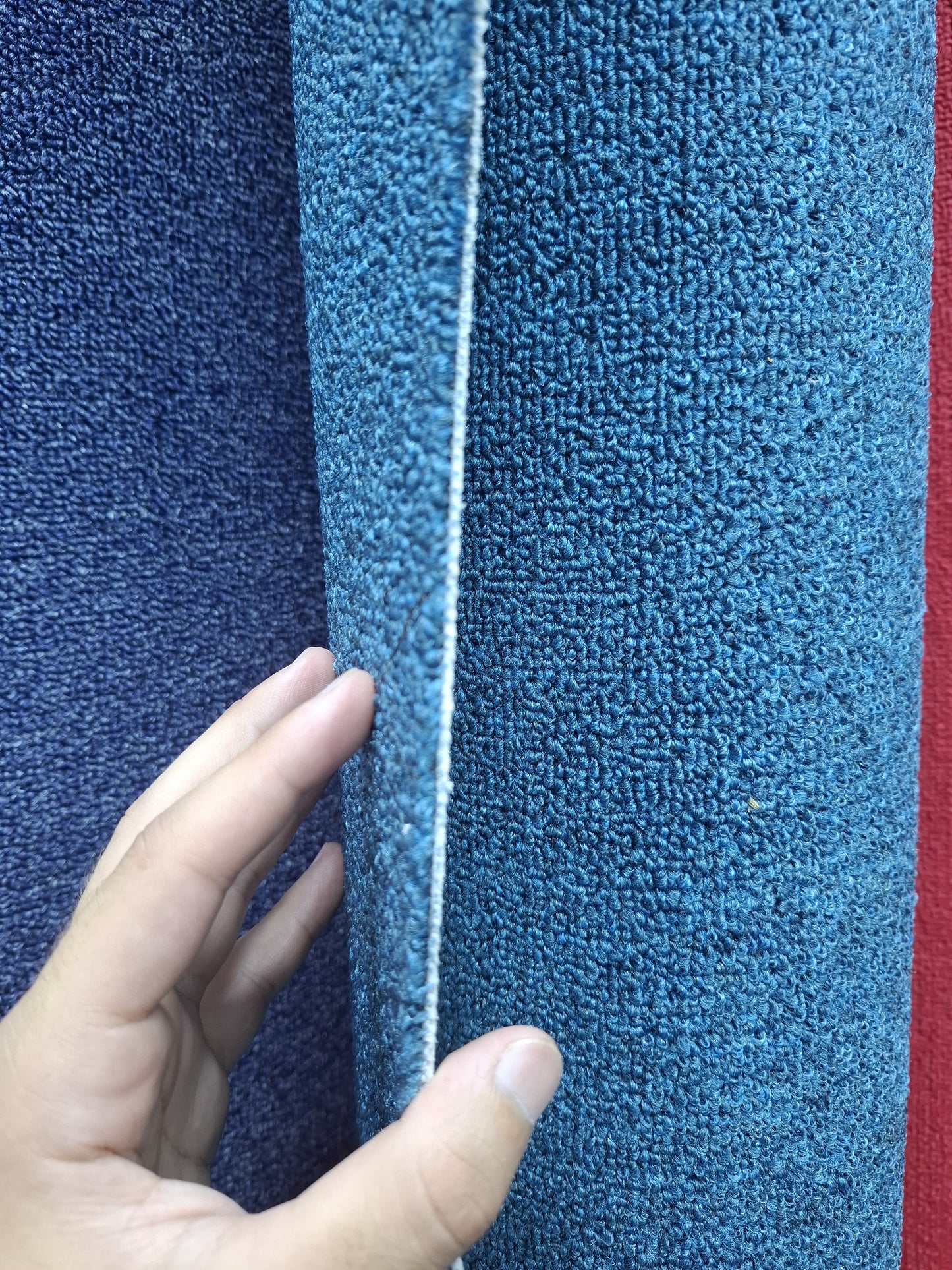 Vibrant Loop Pile Wall-to-Wall Carpet - Durable & Stain-Resistant
